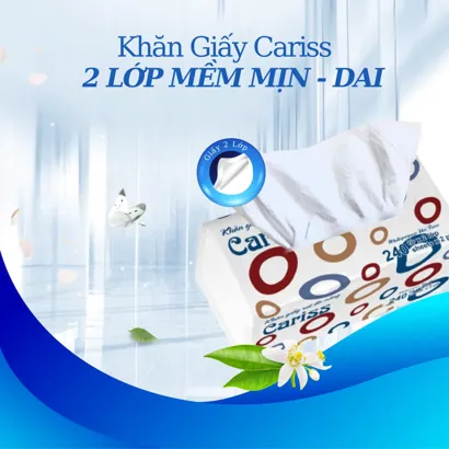 Giấy Vệ Sinh HLP - 600g