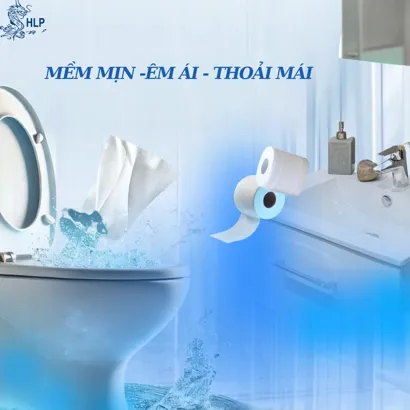 Giấy Vệ Sinh Cariss