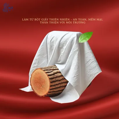 Ruột Khăn Giấy Cariss